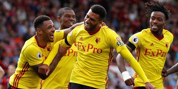 沃特福德球员名单大全