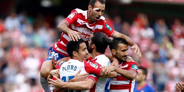 格拉纳达球员名单大全