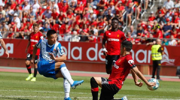 皇家马洛卡球员名单大全