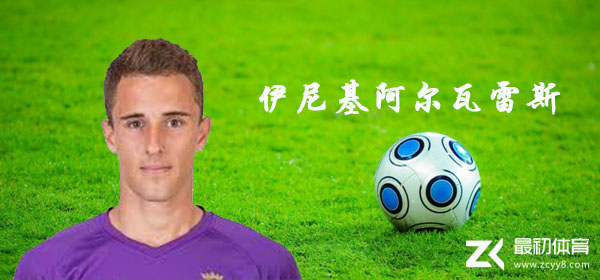伊尼基阿尔瓦雷斯介绍