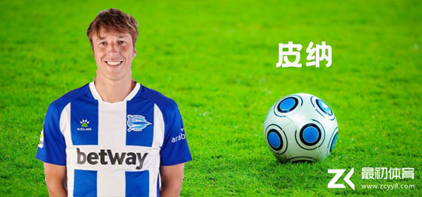皮纳介绍