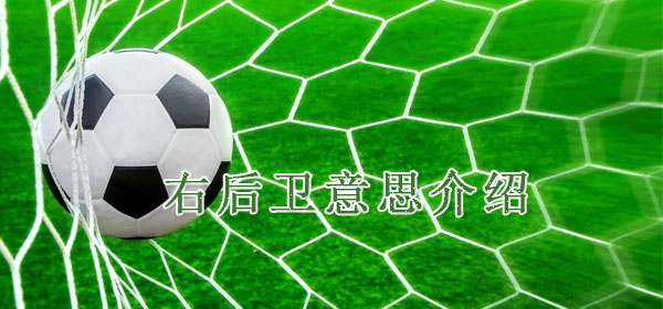 右后卫意思介绍