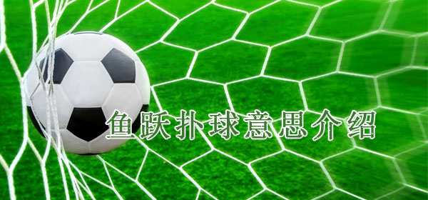 鱼跃扑球意思介绍