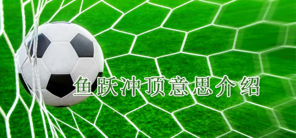 鱼跃冲顶意思介绍