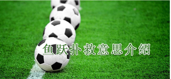 鱼跃扑救意思介绍