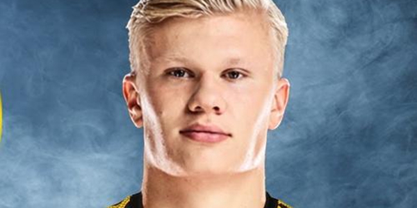 埃林·布朗特·哈兰德介绍