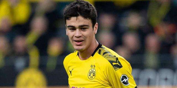 吉奥瓦尼·雷纳介绍