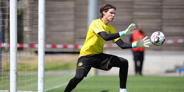 马文·希茨介绍