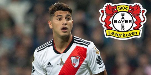 帕拉西奥斯介绍