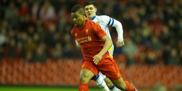 康纳·诺斯介绍