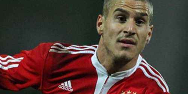 丹尼斯·斯比尼介绍