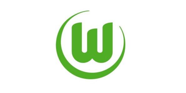 沃尔夫斯堡球员名单大全