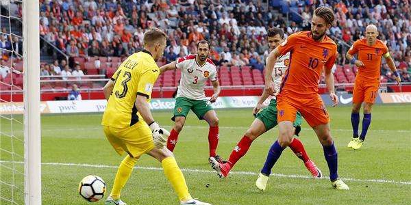 帕瓦奥·佩尔万基本介绍