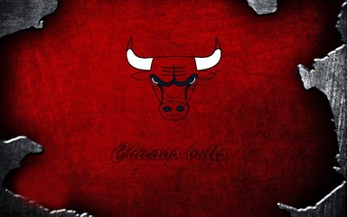 芝加哥公牛队球员名单