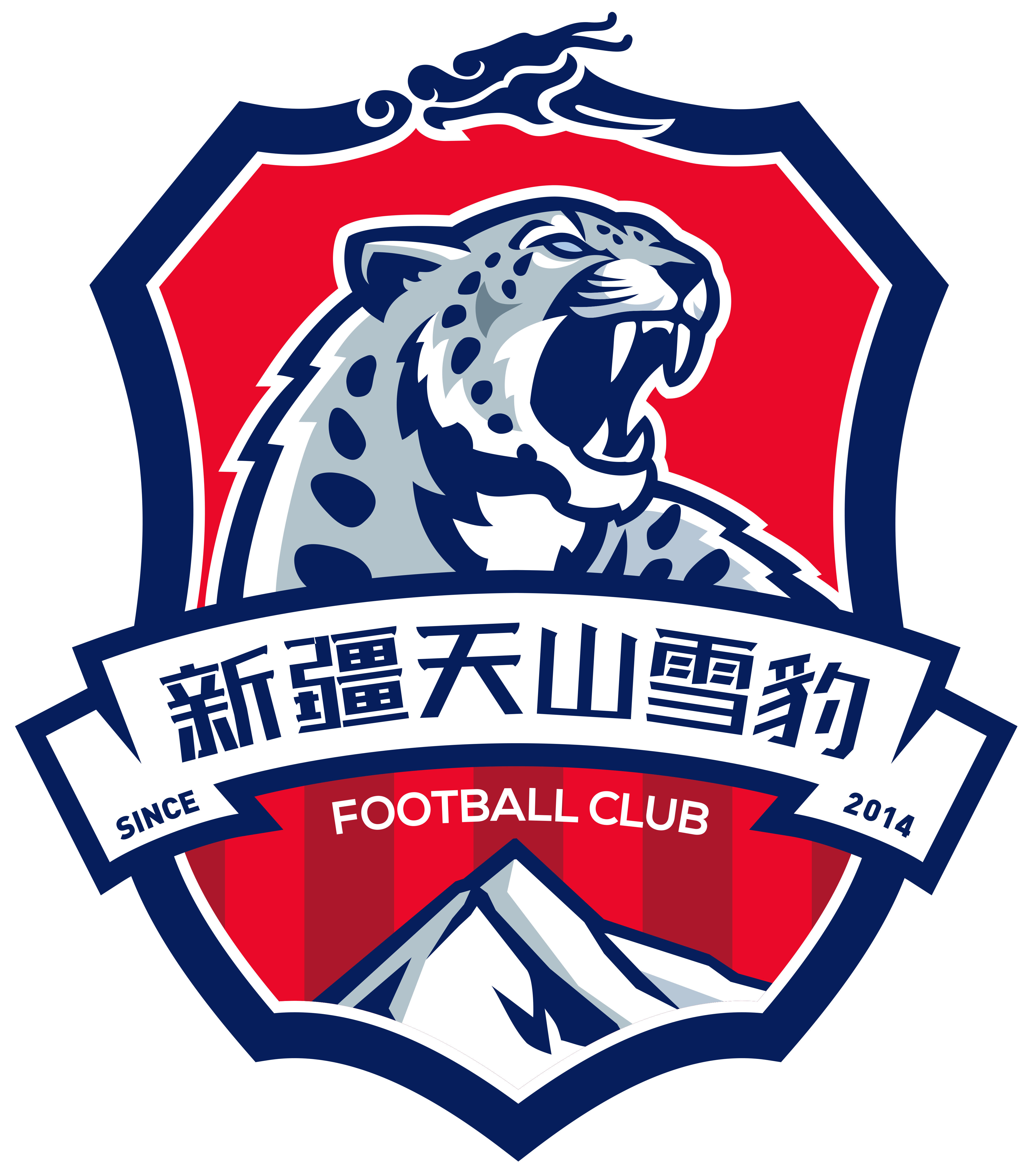 新疆雪豹纳欢球员名单