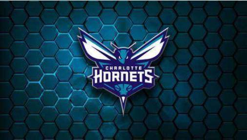 夏洛特黄蜂队球员名单