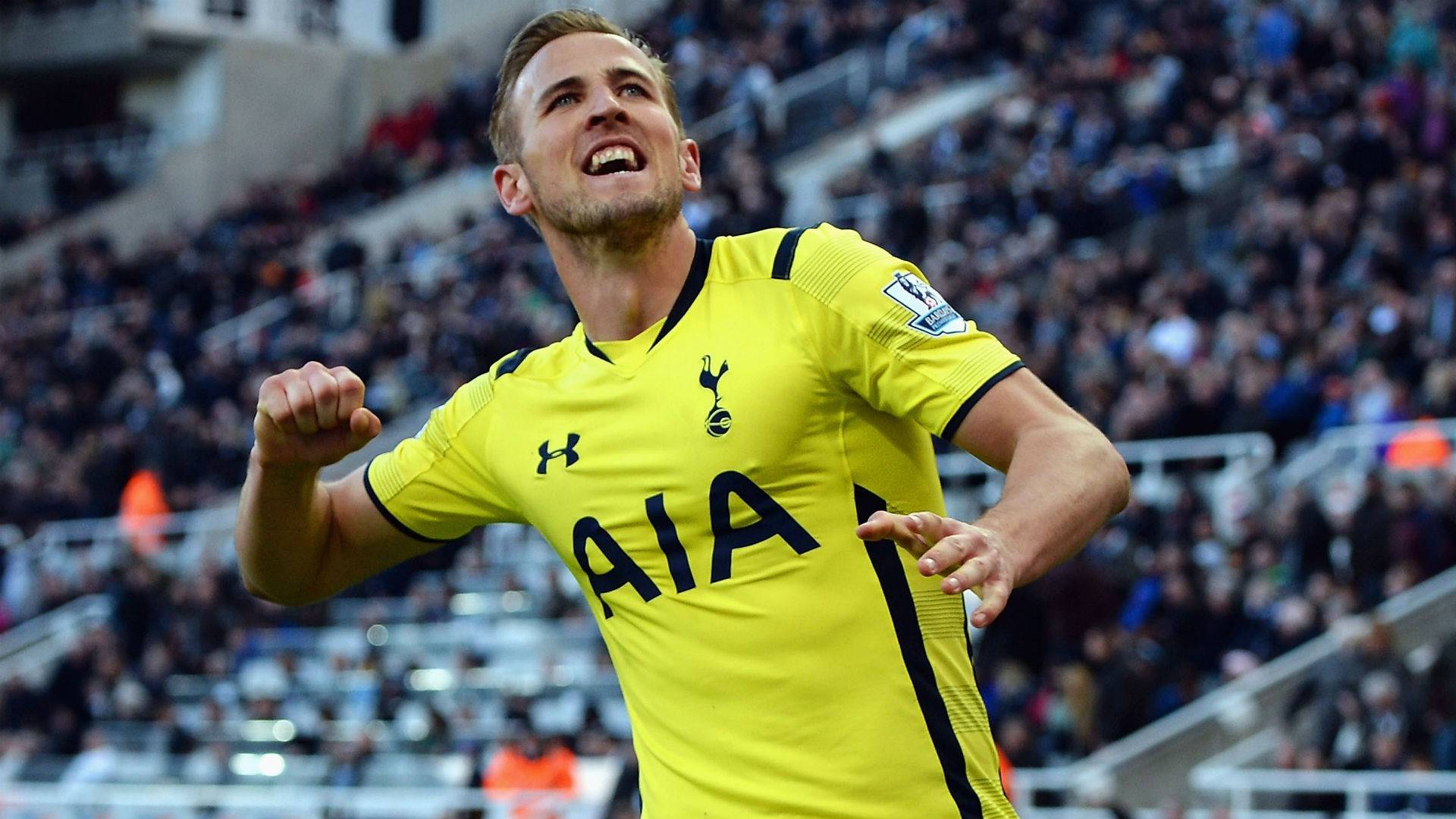 哈里-凯恩人物介绍