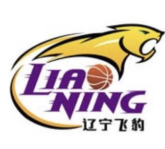 辽宁沈阳三生飞豹篮球俱乐部