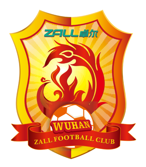 武汉卓尔历届成绩