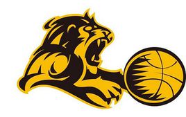 浙江广厦猛狮俱乐部球员名单