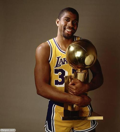 埃尔文·约翰逊人物介绍