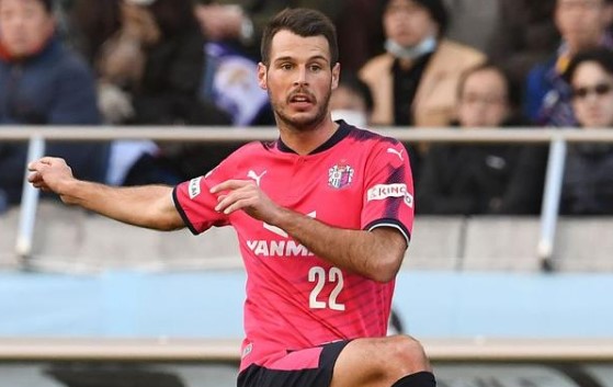 约尼奇人物介绍