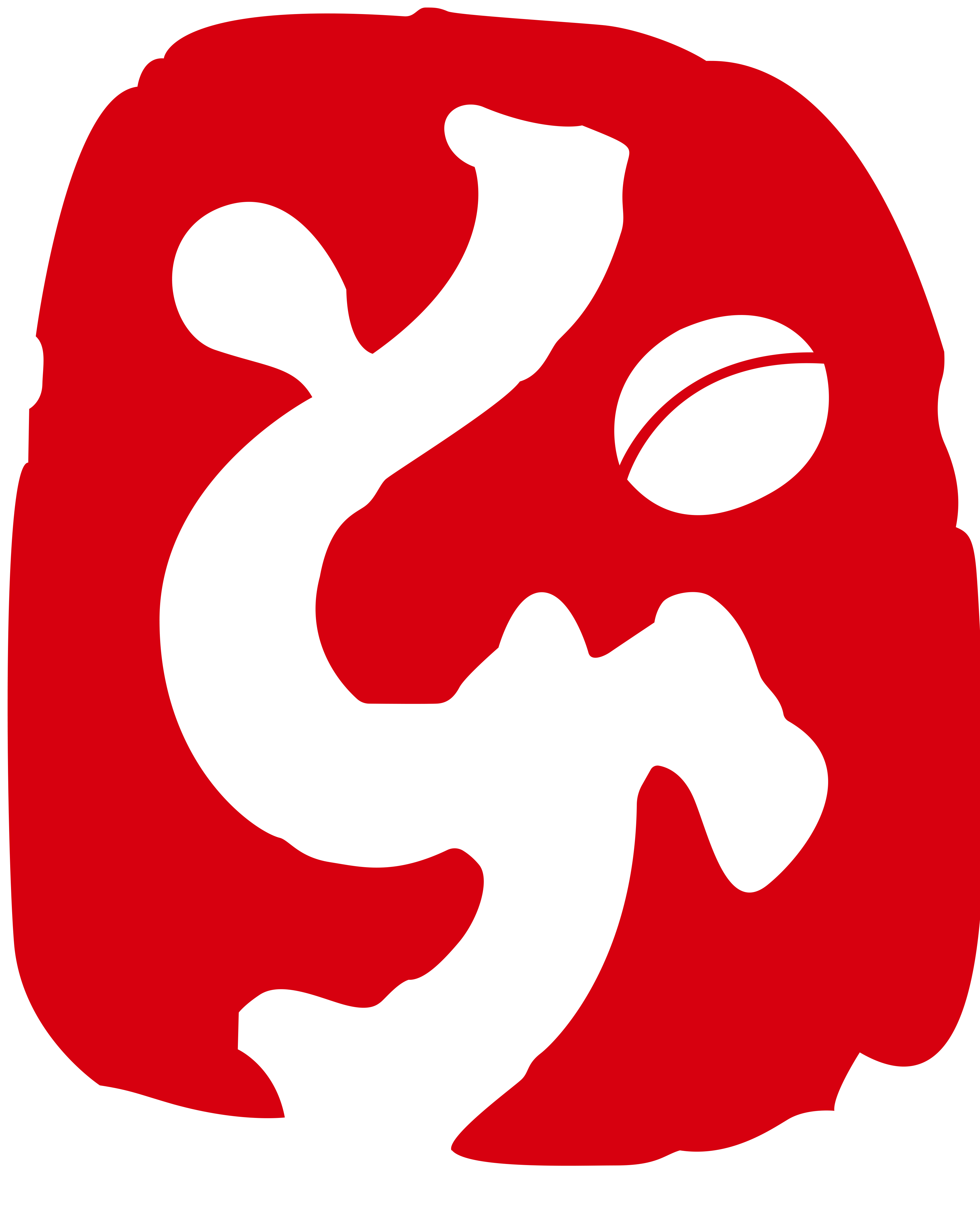 淄博蹴鞠足球俱乐部球员介绍