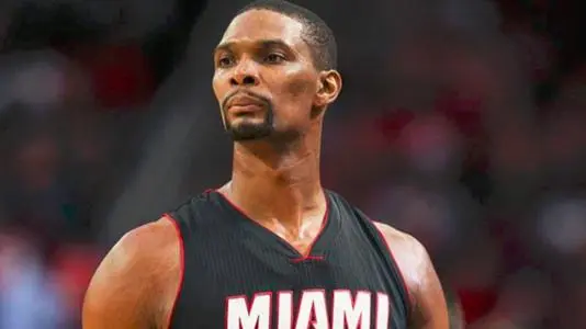 克里斯-波什生涯有货的过总冠军吗？