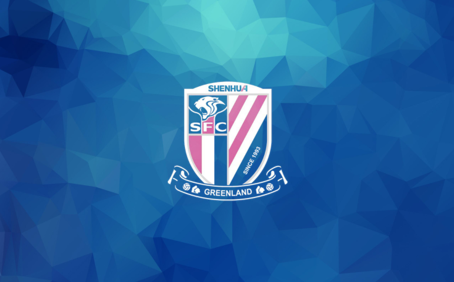 现任上海申花队主教练介绍