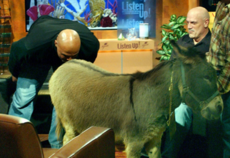 巴克利亲驴屁股原因