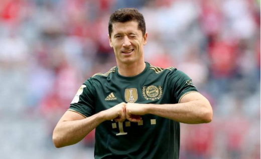 莱万十三峰梗介绍