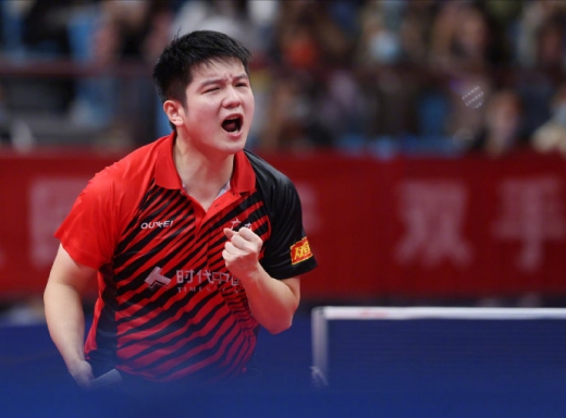 樊振东全运会男单中夺冠