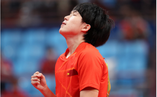 王楚钦个人介绍