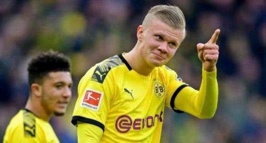 哈兰德国籍介绍