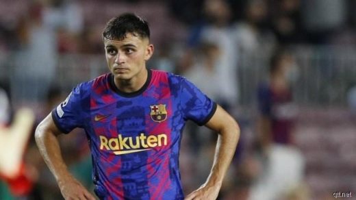 佩德里技术水平介绍