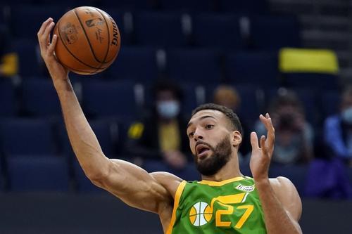 鲁迪·戈贝尔哪里人