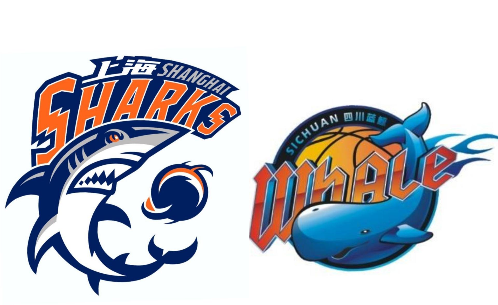 CBA常规赛上海vs四川比赛分数介绍