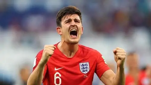 哈里-马圭尔实力介绍