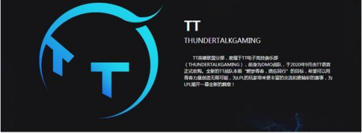 TT战队老板介绍