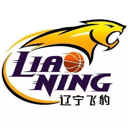 CBA常规赛辽宁vs深圳比赛分数介绍