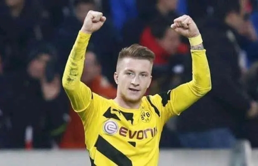 马尔科-罗伊斯技术水平介绍