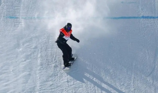 单板滑雪荣格出生地址介绍