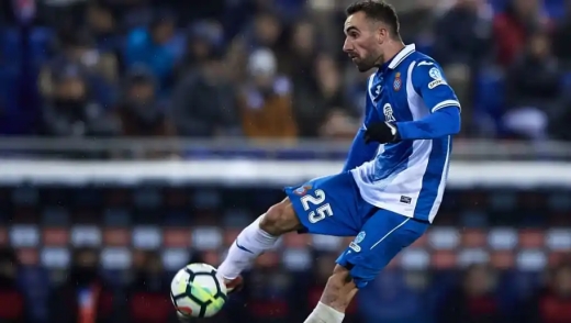 塞尔吉-达德尔技术水平介绍