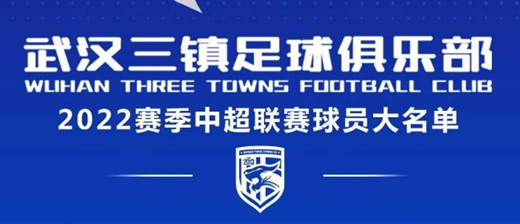 武汉三镇队34人名单