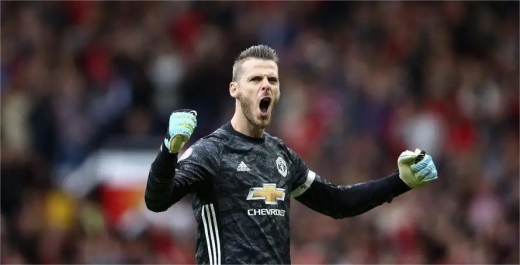 大卫德赫亚技术特点介绍