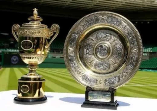 2022温网女双冠军介绍