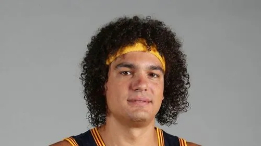 安德森-瓦莱乔个人介绍