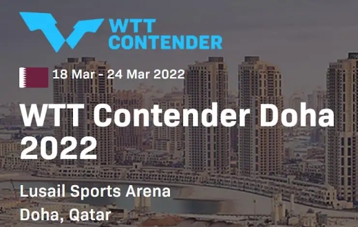 WTT支线赛事介绍