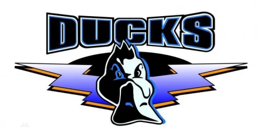 cba北京队现任主教练介绍