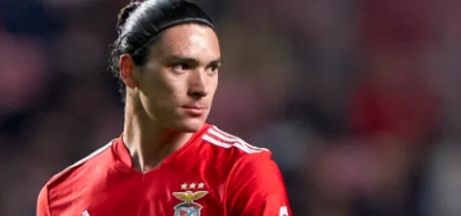 达尔温-努涅斯出生地址介绍